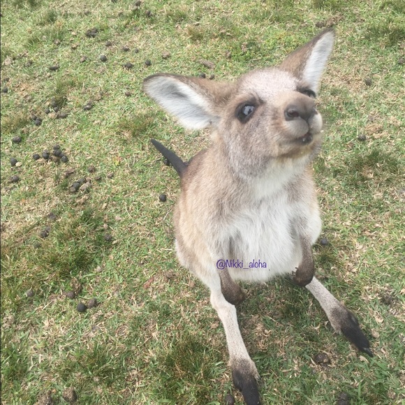 ๐บWelcome to my closet! ๐บ - Picture 3 of 4